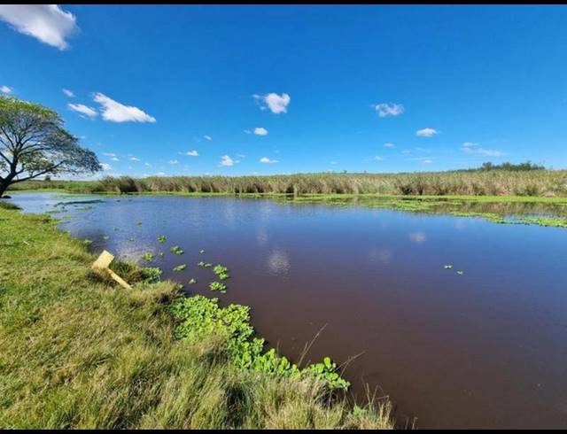 FARM FOR SALE IN MULLERSRUST